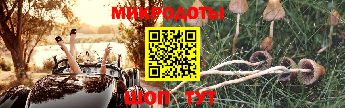 Галлюциногенные грибы GOLDEN TEACHER  Псилоцибиновые грибы мухоморы  Магадан  Вход с VPN 